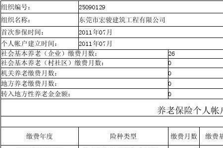 济南养老保险个人账户查询