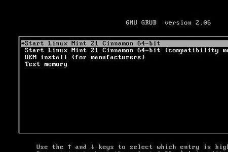 linuxmint20最佳分区方案
