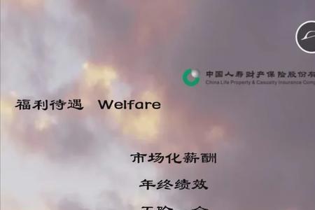 中国人寿英才少年险交费多少年