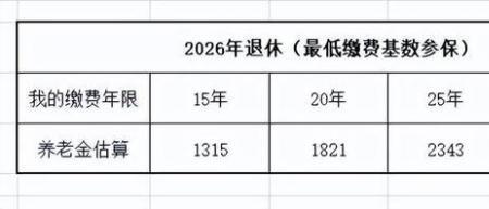 灵活就业缴纳20%什么意思
