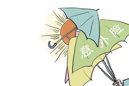 独生子家庭意外险常识