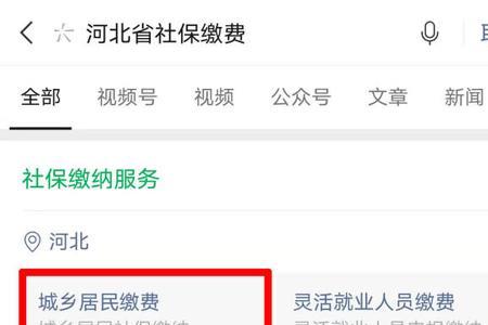 公立单位如何缴纳个人医疗保险