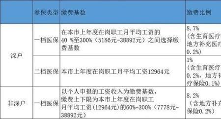 深户社保一档是一定要公司交吗