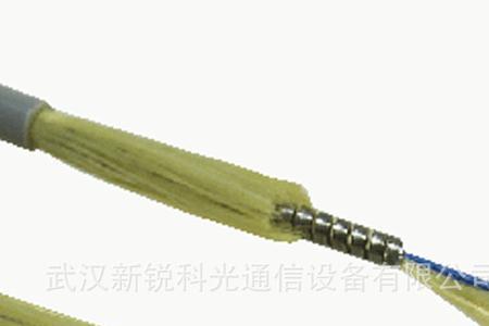 24芯光纤有什么字母