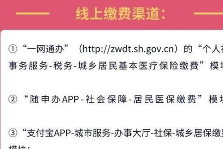 上海医保怎么在手机上缴费