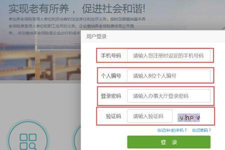 社保查询验证码是什么