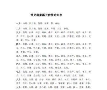 天津露天蔬菜种植时间表