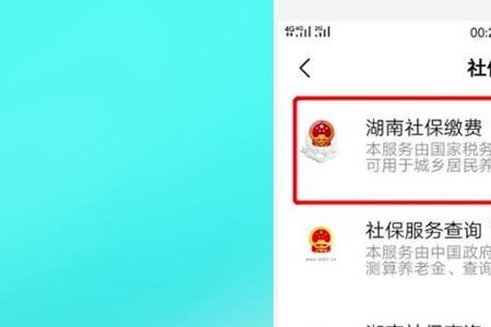 ys在手机上如何交社保