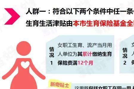 上海生育金账单怎么查