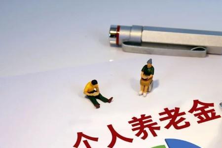 个人账户占退休金多少比例