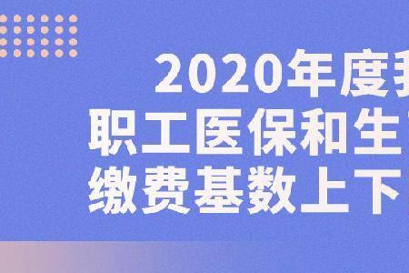 成都社保里面怎么查不到生育险