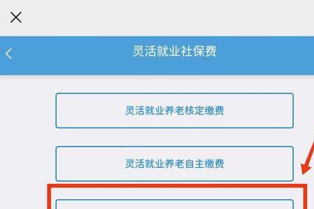 灵活就业人员医保缴费方式