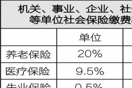 社保进个人账户比例