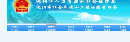 查养老保险个人查询