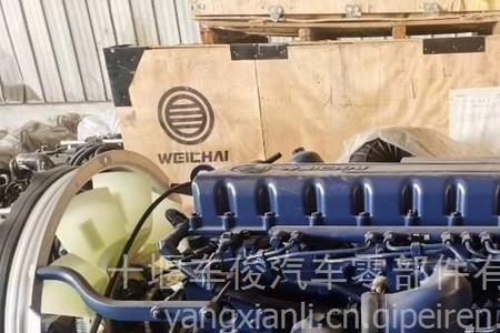 wp10.5什么意思
