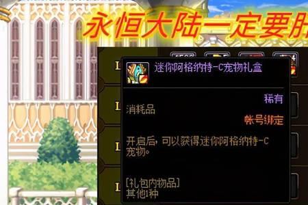 dnf永恒大陆探险家怎么做