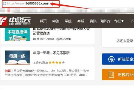如何网上报税