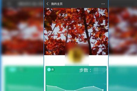 微信运动的曲线图怎么找回来