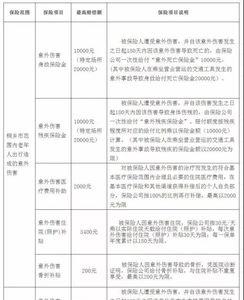 临时工短期意外险赔付额度