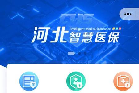 河北企业医保网上核定缴纳流程