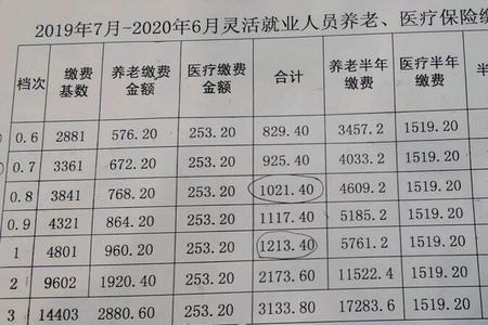 灵活就业社保的性质