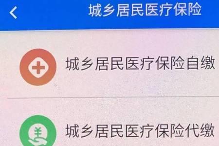 怎样查城镇医疗保险缴费记录