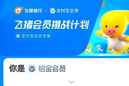飞猪有哪些支付方式