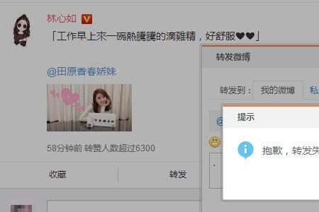 如何进行微博投诉