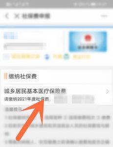 没有支付宝怎么查自己社保