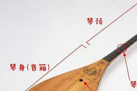 basso是什么乐器