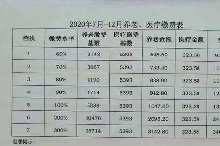 郑州灵活就业社保都包含什么