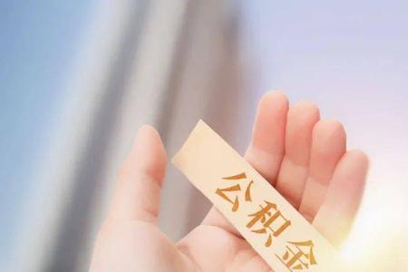 个体户法人自己能交公积金吗
