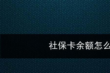 怎样查社保卡全部款