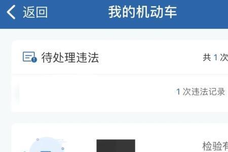 12121不能缴纳罚款