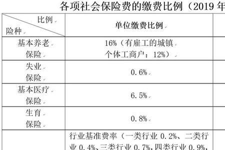 个人缴纳部分是什么意思