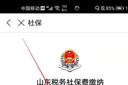 2022新农合支付宝网上缴费怎么查