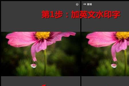 手机截图可以弄水印上去么