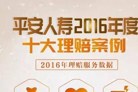 人寿车险护安心是什么险