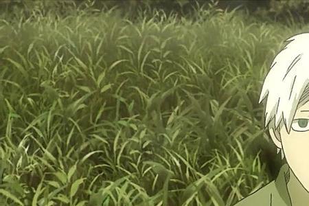 虫师一共出了几季观看顺序是
