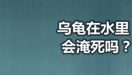 没有晒自来水乌龟喝了会死吗