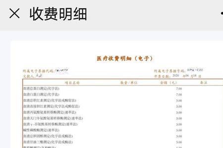 手机上可以查住院清单吗