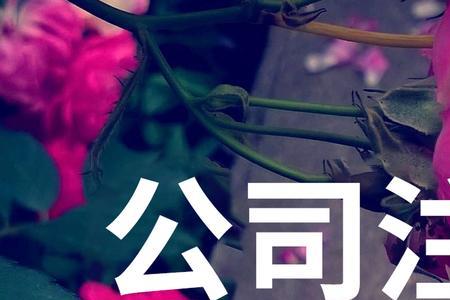 注册公司的好处