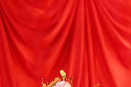 中服集团创始人