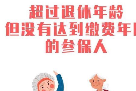 50岁交灵活就业保险能往前补吗