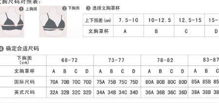 胸围b有多少个号