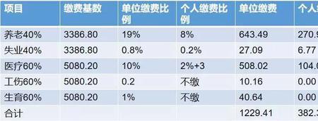 在上海职工社保可交三险吗