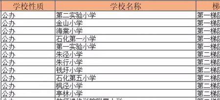 上海实验学校南校是几梯队