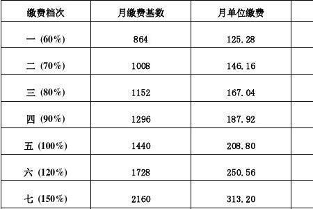 个人社保缴费信息表格什么意思