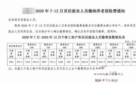 江西省社保交300元什么意思