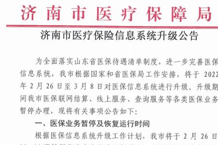 医保升级系统多久能用